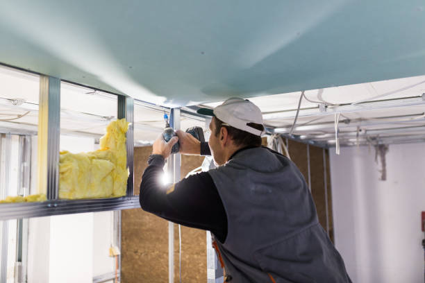 Best Insulation Maintenance and Repair in Bridgeton, MO