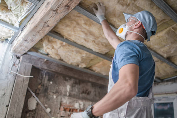 Best Insulation Installation Services in Bridgeton, MO